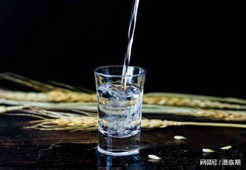 酒水批發一般在哪里拿貨,酒水批發拿貨